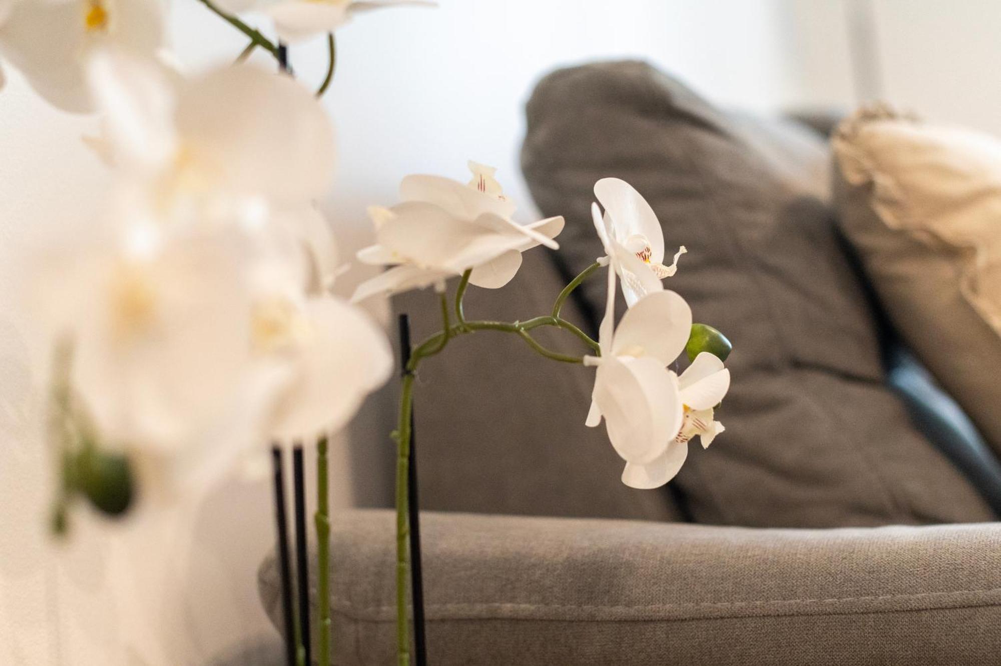 Apartment K&L,Zadar Zewnętrze zdjęcie